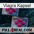 Viagra Capsule 14